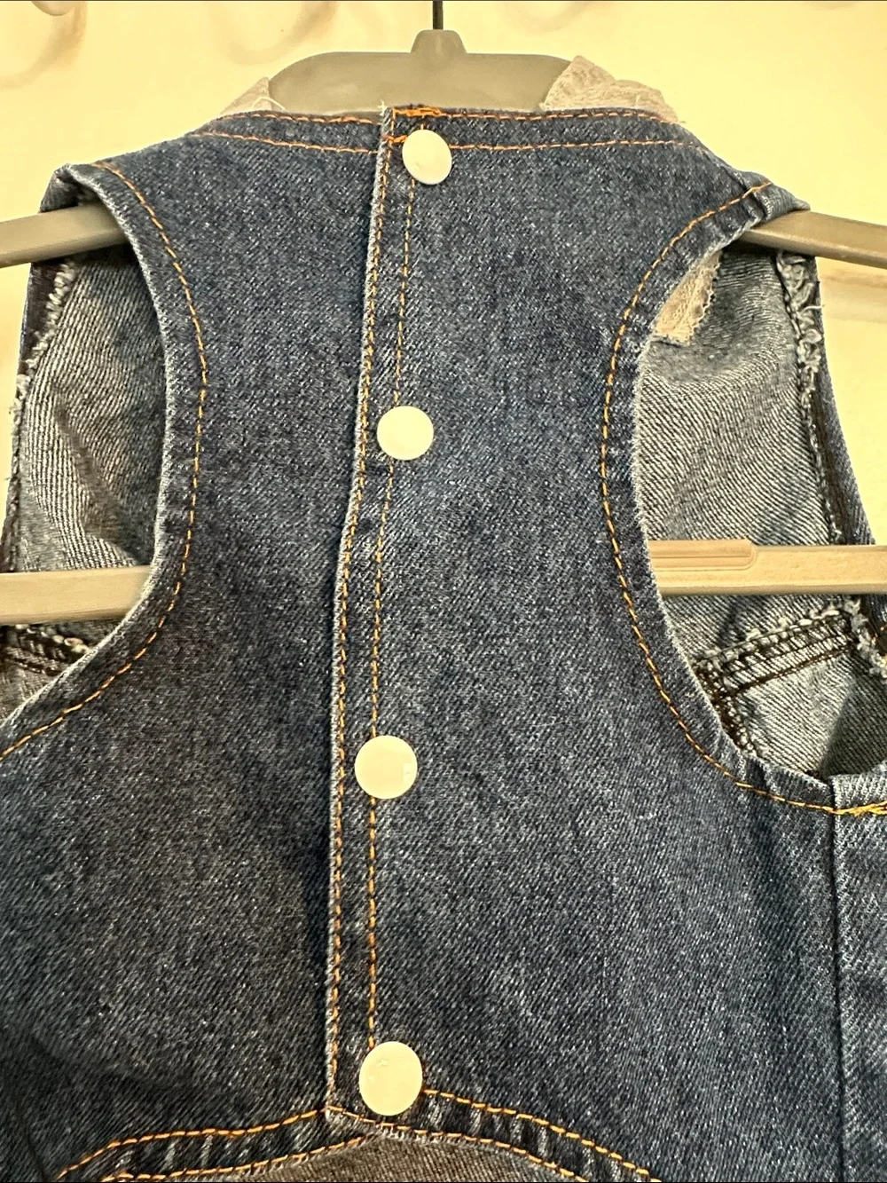 Dog Denim Vest with Gray Hood